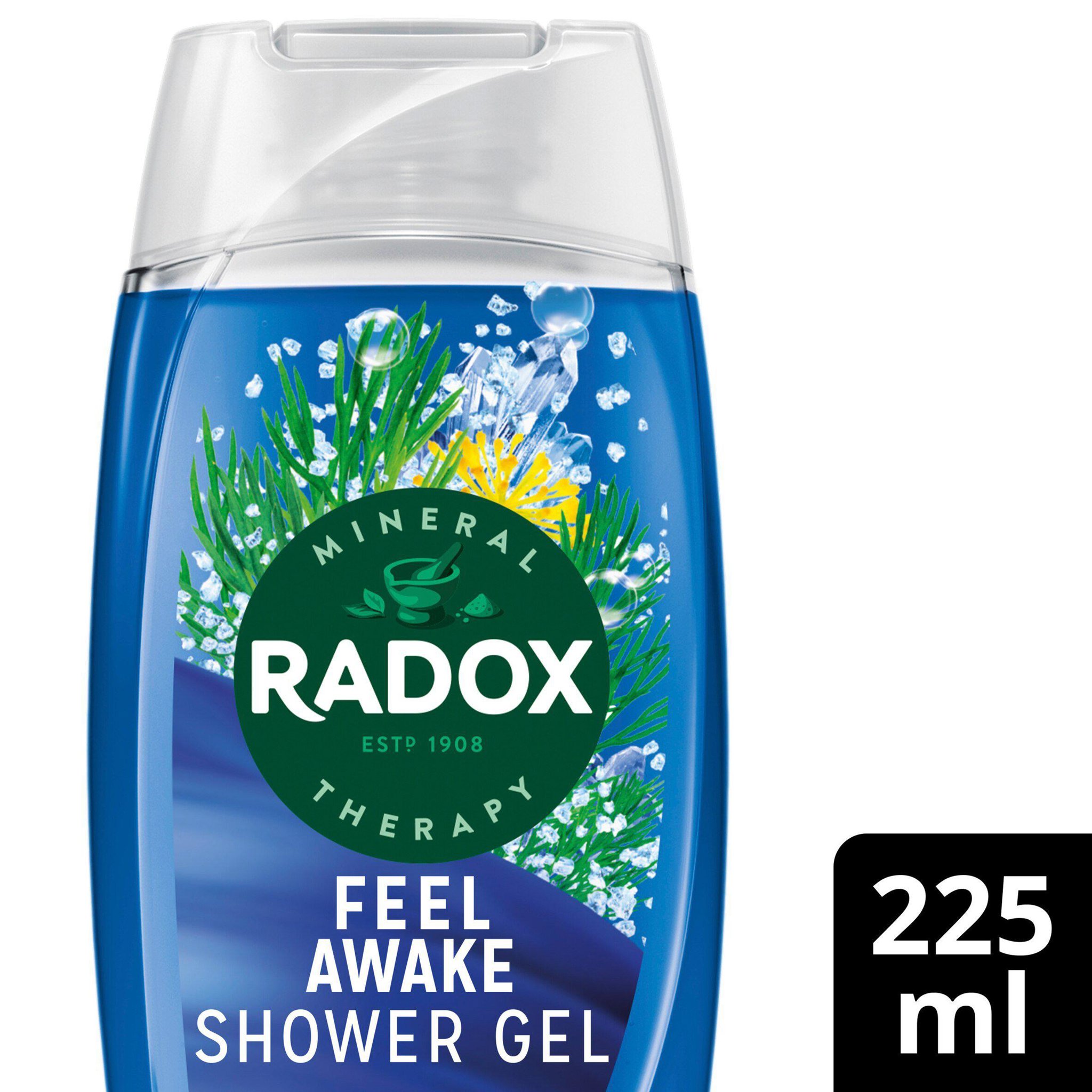 Picture of Radox Feel Awake 2 in 1 Shower Gel & Shampoo 225ml